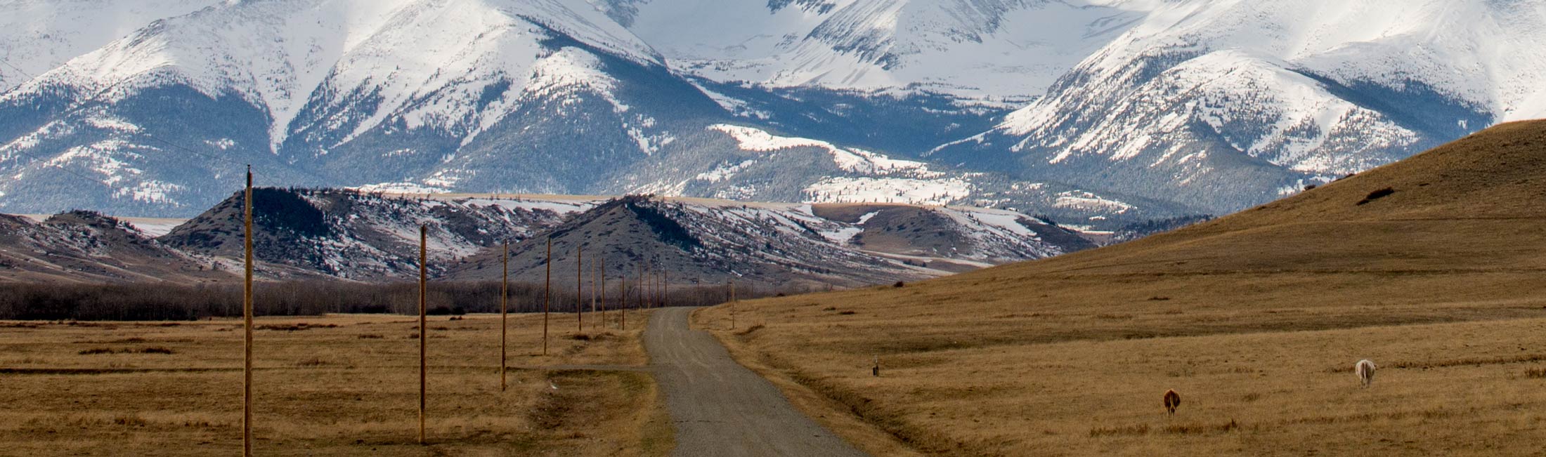 wood gat and wood fence with mountains in the background