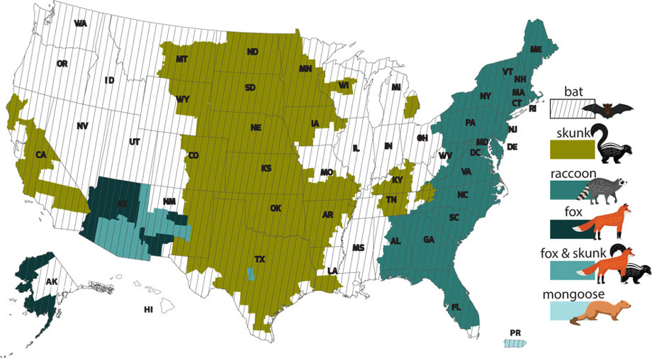 Rabies US map