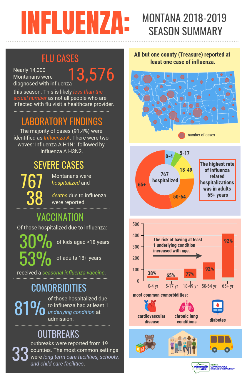 influenza 2018-2019 season summary