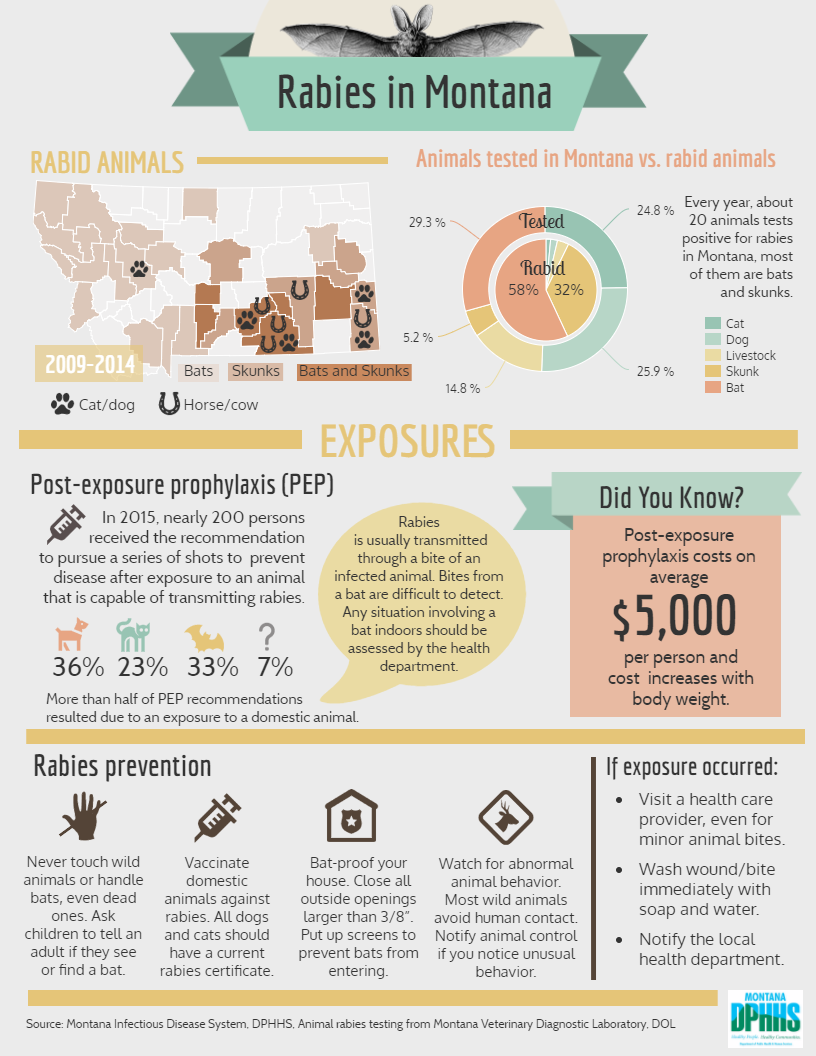 Animal rabies in Montana