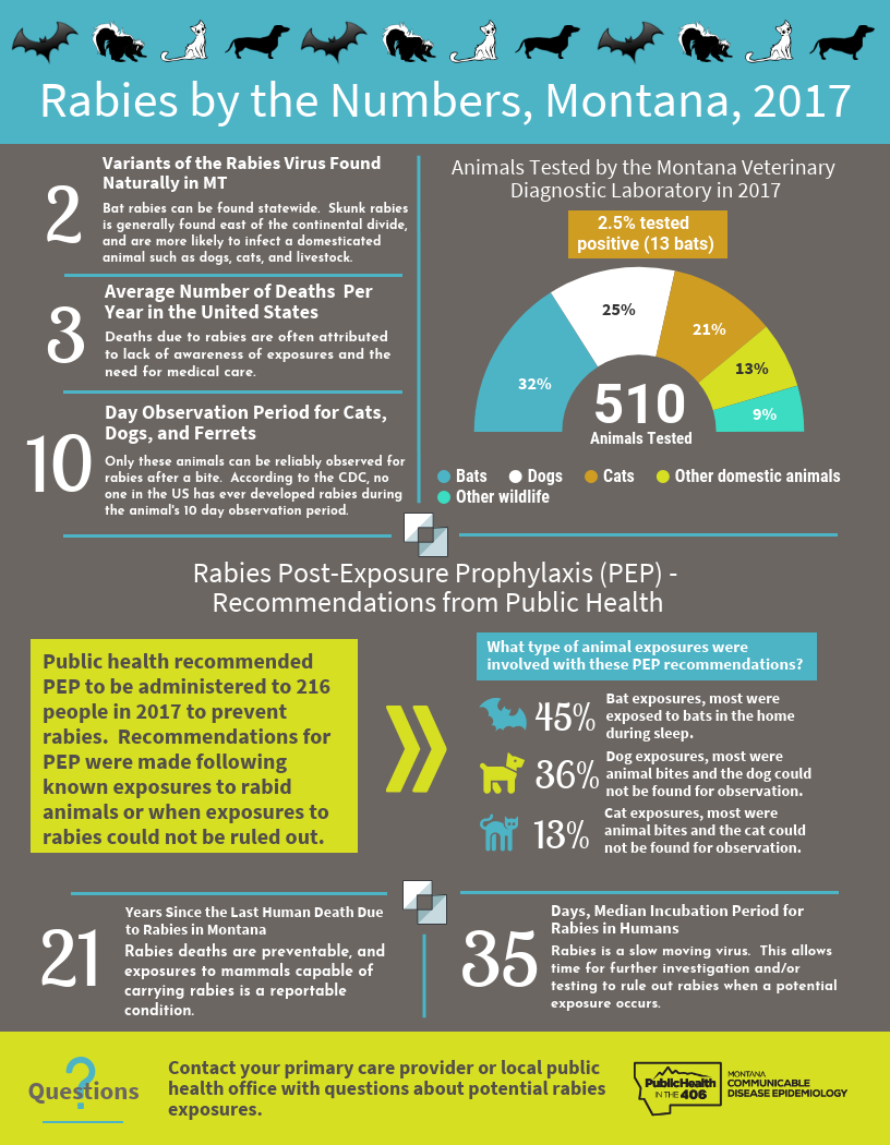 Rabies by the numbers, 2017