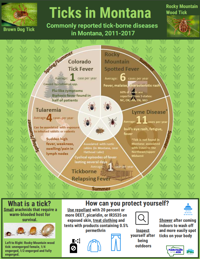 Ticks and tickborne diseases in Montana information