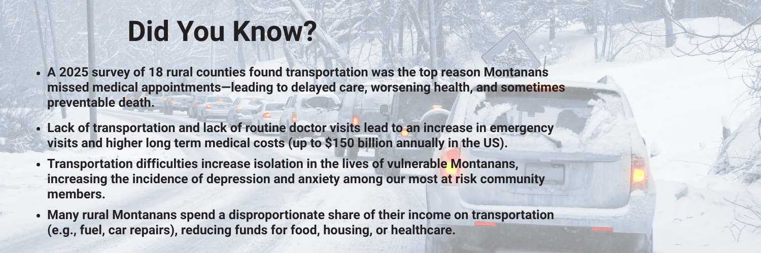 Transportation Banner_SDOH