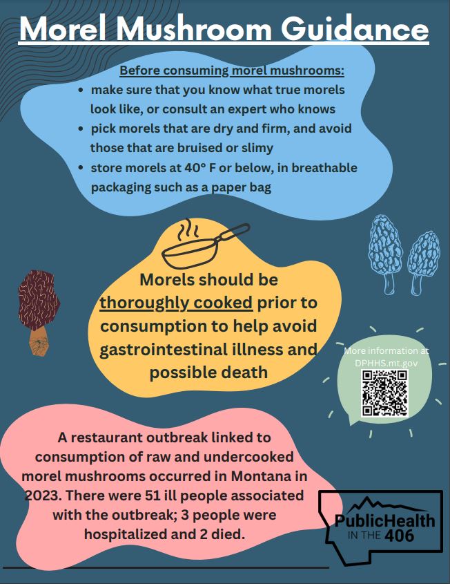 Morel Guidance Document