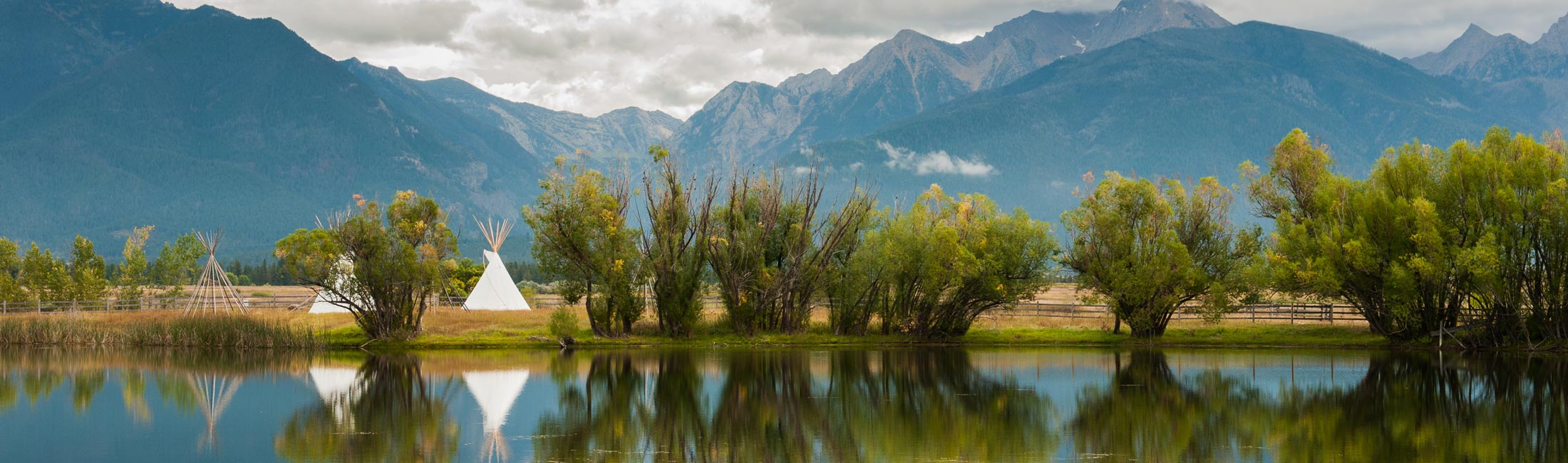 Request Technical Assistance