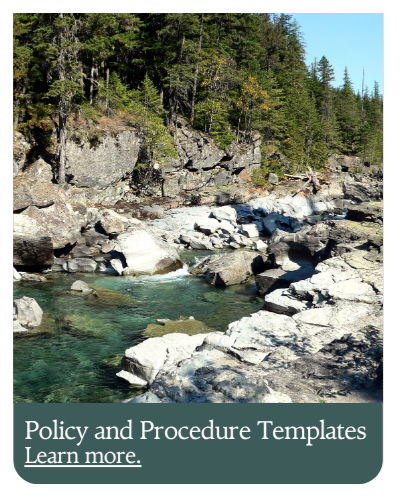 Policy and procedure link