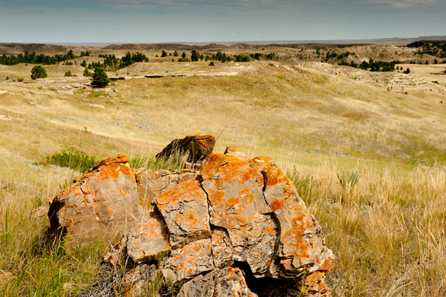 Performance Excellence